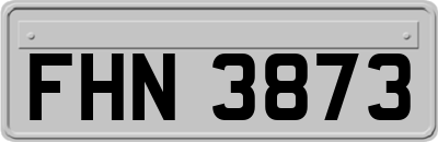 FHN3873