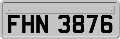 FHN3876