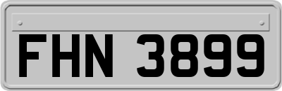 FHN3899
