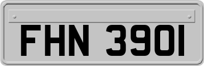 FHN3901