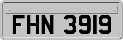 FHN3919