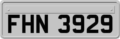 FHN3929