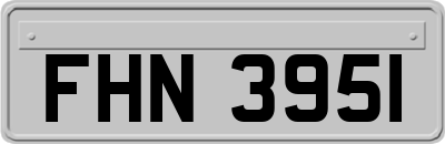 FHN3951