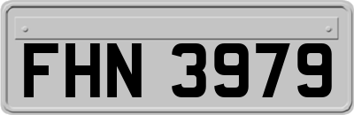 FHN3979