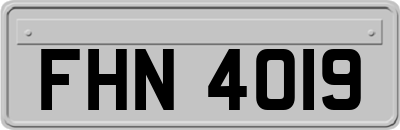 FHN4019