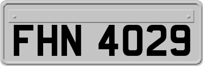 FHN4029