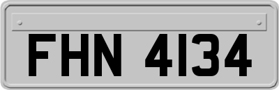FHN4134