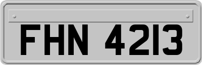 FHN4213