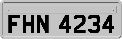 FHN4234