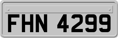 FHN4299