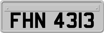 FHN4313