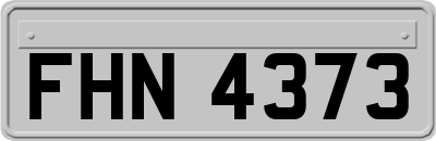 FHN4373