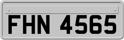 FHN4565