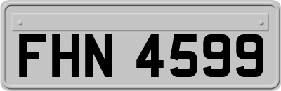 FHN4599