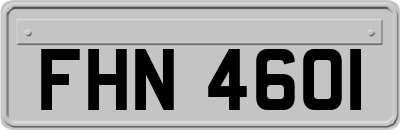 FHN4601