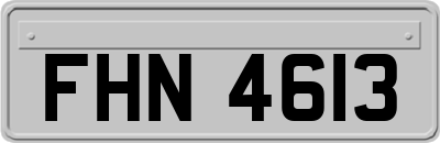 FHN4613