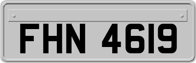 FHN4619