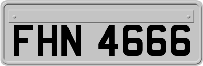 FHN4666
