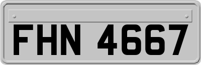 FHN4667