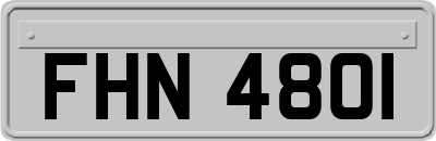 FHN4801