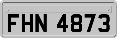 FHN4873