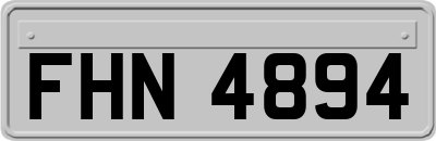 FHN4894
