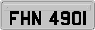 FHN4901