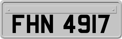 FHN4917
