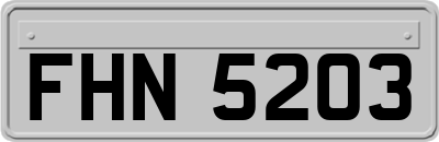 FHN5203