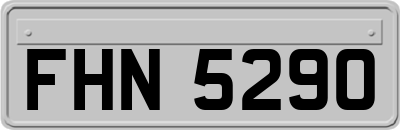 FHN5290