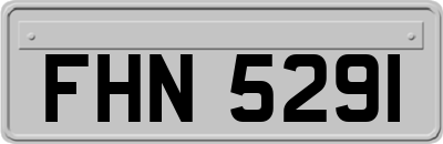 FHN5291