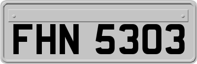 FHN5303