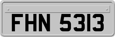 FHN5313