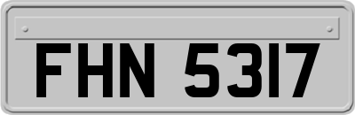 FHN5317