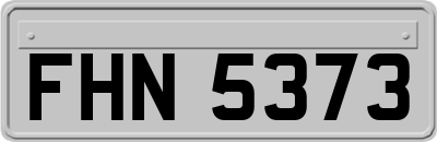 FHN5373