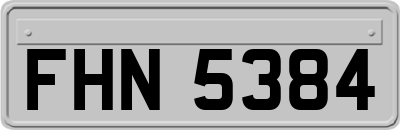 FHN5384