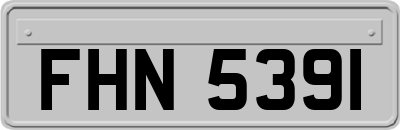 FHN5391