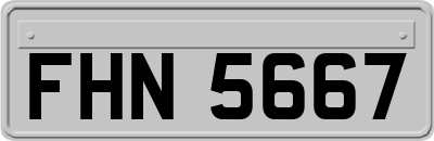 FHN5667