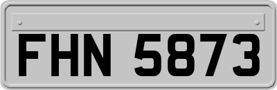 FHN5873