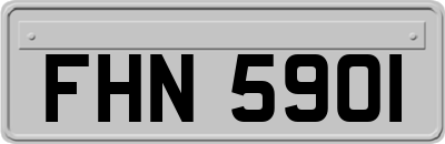 FHN5901