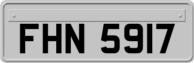 FHN5917