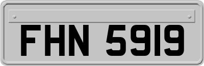 FHN5919