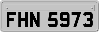 FHN5973