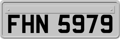 FHN5979