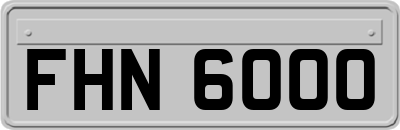 FHN6000