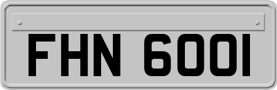 FHN6001