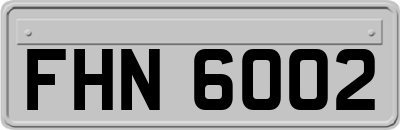FHN6002