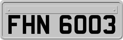 FHN6003