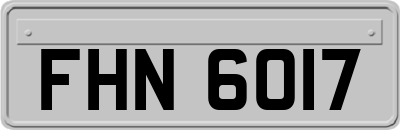 FHN6017