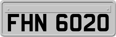 FHN6020